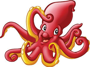 Octopus